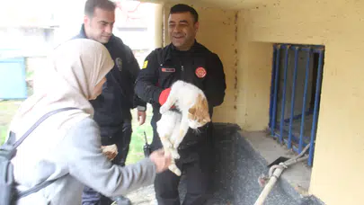 Konya'da açlıktan bitkin düşen kedi hayata döndürüldü