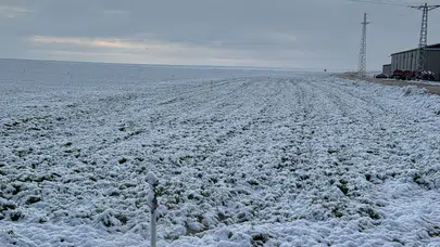 Konya Ovası büyük tehlike atlattı! Don hasarı bekleniyor mu?