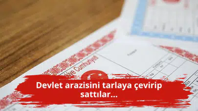 Devlet arazisini tarlaya çevirip sattılar...