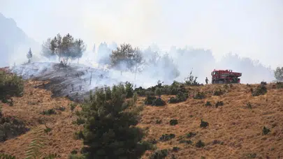 Manisa'da orman yangını