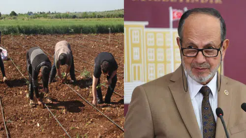 Konya Milletvekili Yüksel uyardı: "Mevsimlik işçiler sağlık hizmetlerinden yoksun kalıyor!"