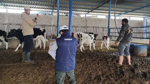 Konya'da ekipler sahada! Aşılama çalışmaları sürüyor