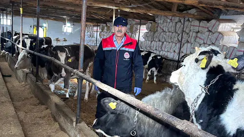 Konya'da besi hayvanlarına şap ve brusella aşısı