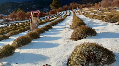 Beyaz örtü Konya’yı sararken baraj seviyesi üreticiyi sevindirdi