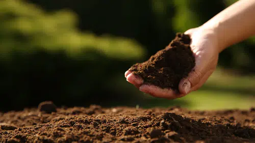 Dünya Toprak Günü’nde Konya’dan kritik mesaj: “Sağlıklı kent, sağlıklı toprakla mümkün”