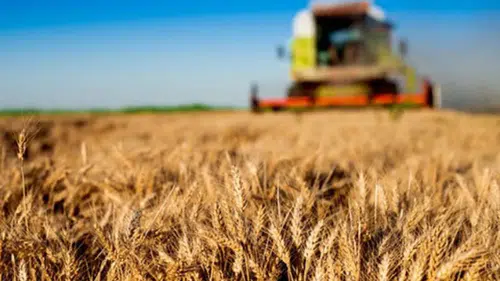 Tarım ve hayvancılıkta 2025 nasıl geçti?