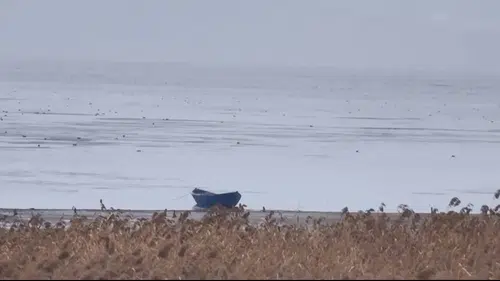 Konya’nın denizinden sevindirici haber! Kurtuluyor mu?