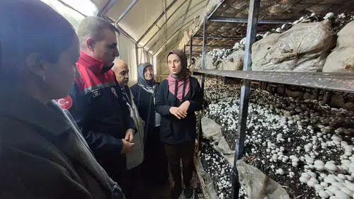 Konya’da bu işi kazanacak! 3 bün Euro destek verilecek