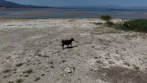 Konya’nın denizi çöle dönüştü! Bakandan müjde geldi