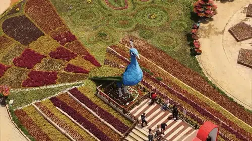 Türkiye’de en büyüğü Konya’da! Ziyarete açıldı