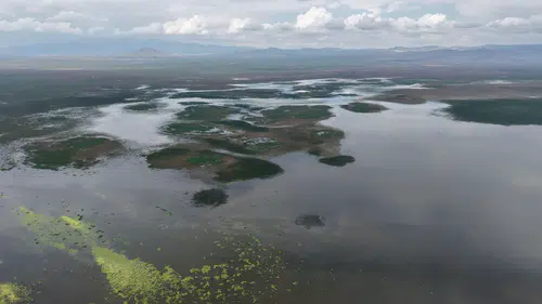Bir dönem haritadan silinmek üzereydi! Konya'daki o gölün son hali şaşırttı