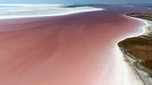 Tuz Gölü'nde doğanın mucizesi! Pembe görüntü hayran bıraktı