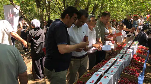 Konya’nın tescilli kirazı dünyaya tanıtıldı