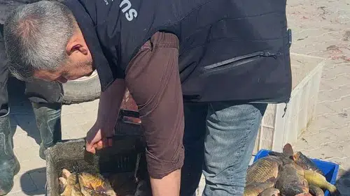 Balıkçılara yakın takip! Beyşehir Gölü'nde sıkı denetim