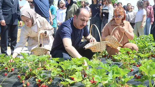 Konya Büyükşehir'den çiftçiye dev destek! 2027 başvuruları başlıyor