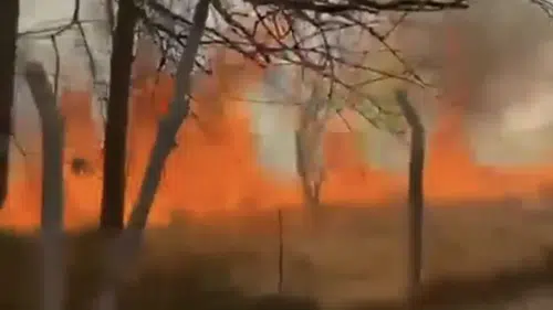 Konya’da korkutan yangın! Rüzgarı etkisi ile yayıldı