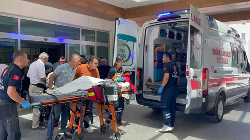 Karaman'da infial oluşturan köpek saldırısında sıcak gelişme