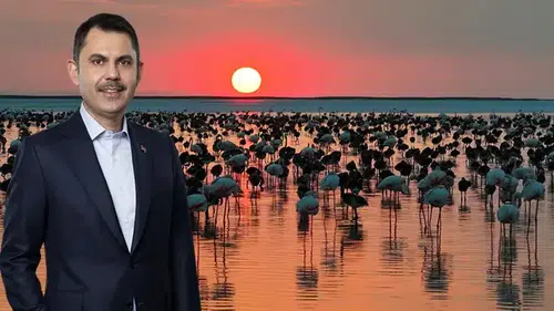 Konya’da sevindiren haberi Bakan Kurum duyurdu! Konya rekor kırdı