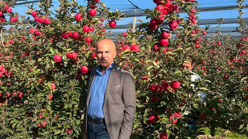 Elma üreticilerine kritik uyarı! Satış yapmayın