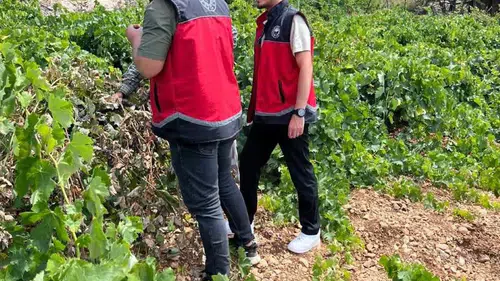 Konya üzüm bağlarında denetime çıkıldı
