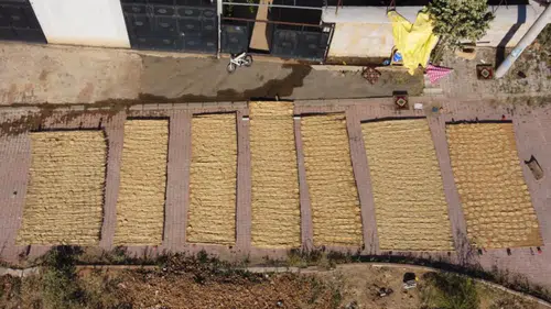 Konya'da asırlık tarhana geleneğinde yaz mesaisi sona eriyor