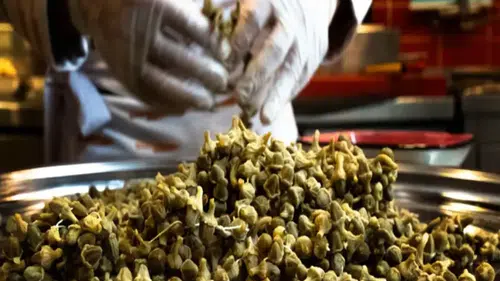 Konya'da 2 ton çalıntı bamyayı alan 4 kişiye hapis istemi!