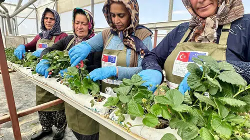Konya’da büyük fırsat! Kursu bitiren iş sahibi oluyor