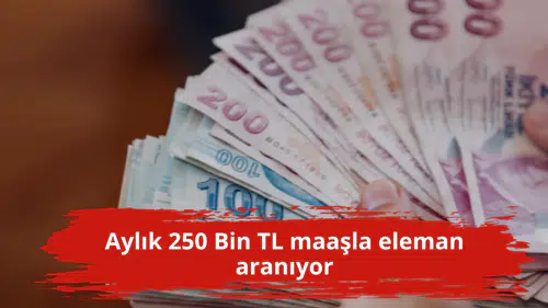 Aylık 250 Bin TL maaşla eleman aranıyor