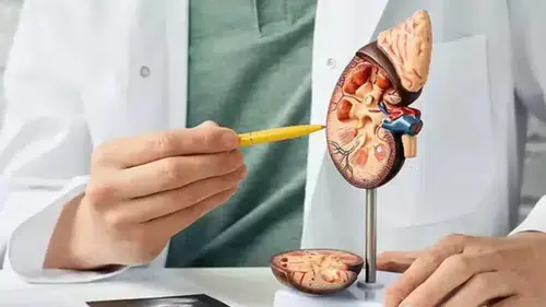 Böbrek taşı olanlar dikkat! Konya’da tedavide yeni teknolojiler kullanılıyor