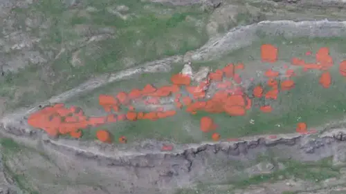 Nuh’un Gemisi için dünyanın gözü Türkiye’de! Gözler laboratuvarda