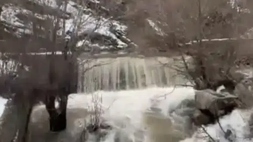 Uzun yıllar sonra ilk kez böyle aktı! Dereler coştu