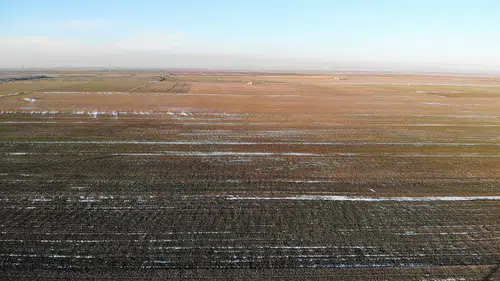 Konya Ovası’nda korkutan tablo: Kar yok, don var!