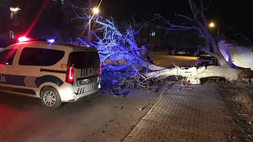 Konya Ereğli'de fırtına! Çatılar uçtu, ağaçlar devrildi