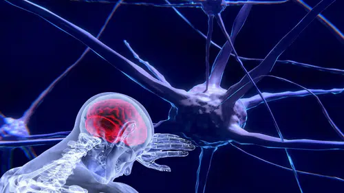 Beyin yapısı suç işleme riskini artırıyor mu?