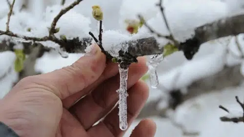 Konya’da Sibirya soğuğu! Termometreler şaşırdı