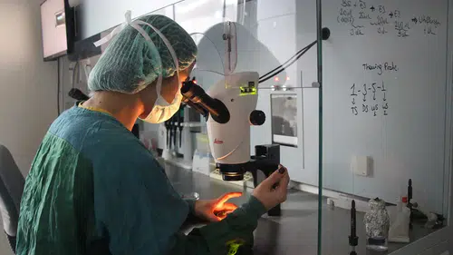 Başkent Konya Hastanesi umut oluyor! “Tüp bebek tedavisi umut dolu bir yolculuk”