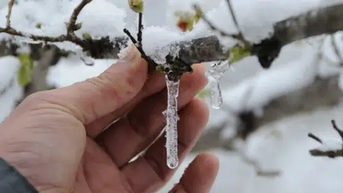 Konyalılara uyarı: Gece sıcaklıklar 0 derece altına düşüyor!
