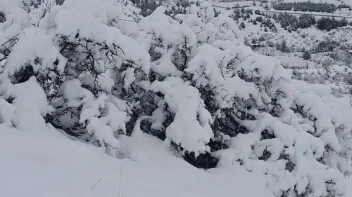 Konya’da en çok ve en az yağışı neresi aldı?