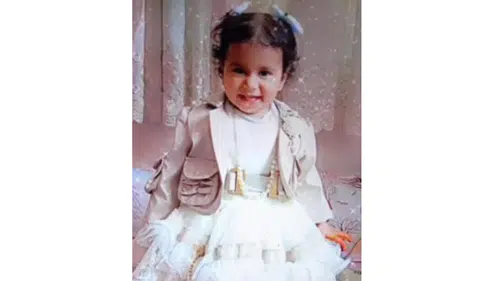 Konya'da köpek saldırısında ölen bebek davasında kritik karar!