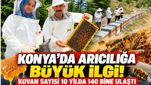 Konya’da arıcılığa büyük ilgi! Kovan sayısı 10 yılda 140 bine ulaştı