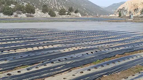 Konya’da tarım arazilerini su bastı! İl Müdürü bölgede