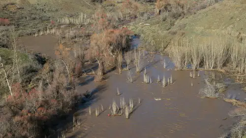 Konya’da taşkın alarmı! Tarım arazileri su altında kaldı