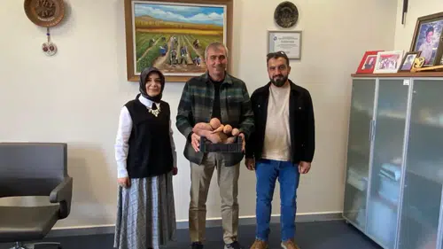 Amerika’da yetiştirilen patates Konya’da yetiştiriliyor