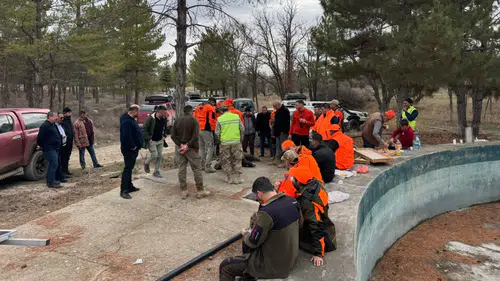 Konya'da yaban domuzu istilasına karşı harekete geçildi
