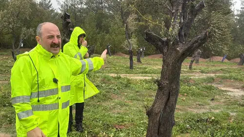 Konya Vekili katledilecek denilen ağaçlara bakın ne oldu diyerek açıkladı