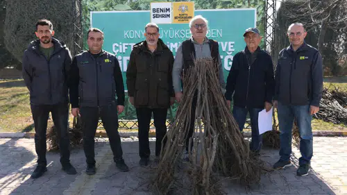 Konya Büyükşehir’den çiftçiye dev destek: 23 bin adet fidan dağıtılacak