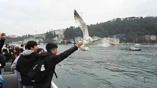 Konya’da “Genç Seyyah” projesi başladı! 25 bin öğrenci İstanbul’u keşfedecek