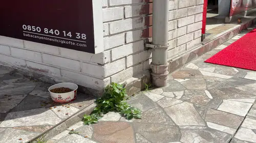 Konya’dan sosyal sorumluluk örneği! Kovada çiğ köfteyle hayvanlara yardım