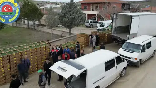 Uygun fiyatlı fideler üreticilere teslim edildi