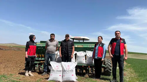 Konya’da yerli tohum atağı! Kurak araziler için müjde